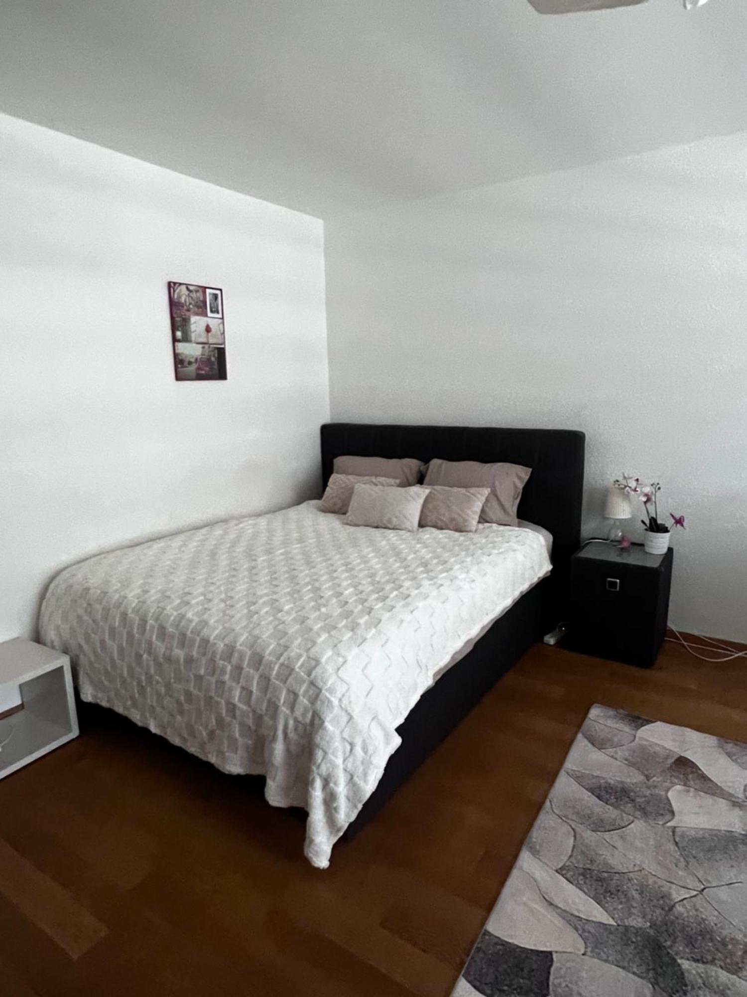 Apartments In Bern - Green Relax Экстерьер фото