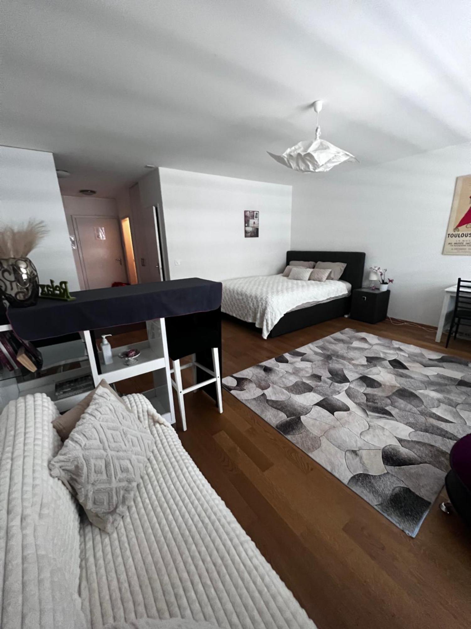 Apartments In Bern - Green Relax Экстерьер фото